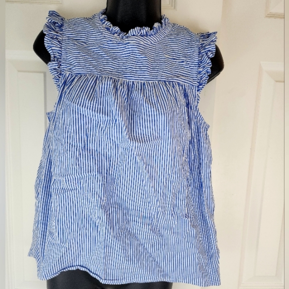 J Crew Blue Striped Top